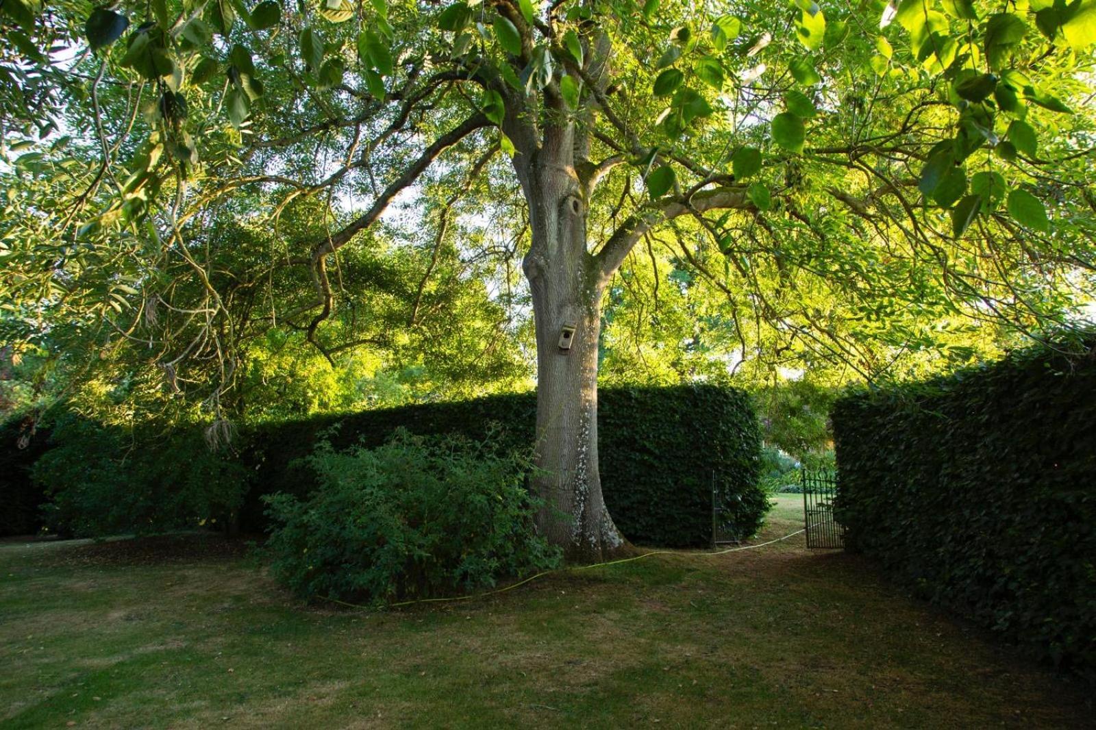 Ebony Cottage Tenbury Eksteriør bilde