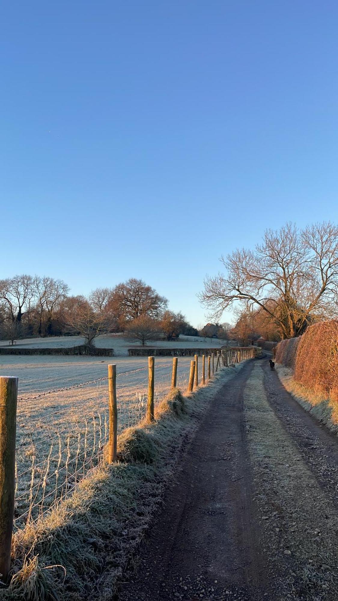 Ebony Cottage Tenbury Eksteriør bilde